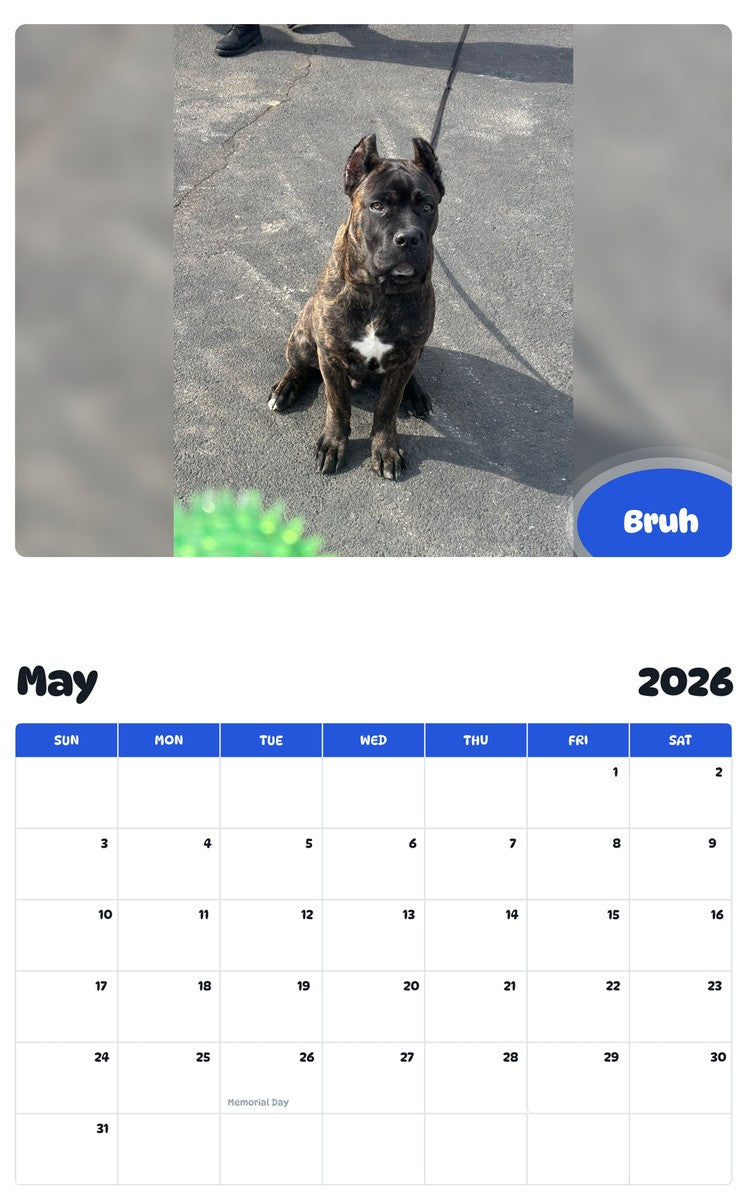 2026 - 2027 Bruh - Pawidols Pet Calendar
