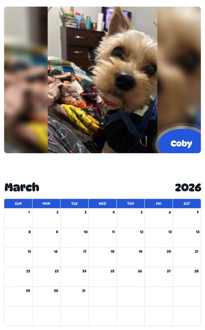 November 2025 - October 2026 Coby - Pawidols Pet Calendar