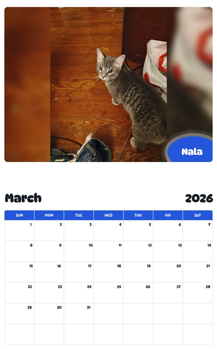 November 2025 - October 2026 Nala - Pawidols Pet Calendar