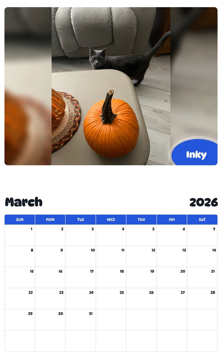 November 2025 - October 2026 Inky - Pawidols Pet Calendar
