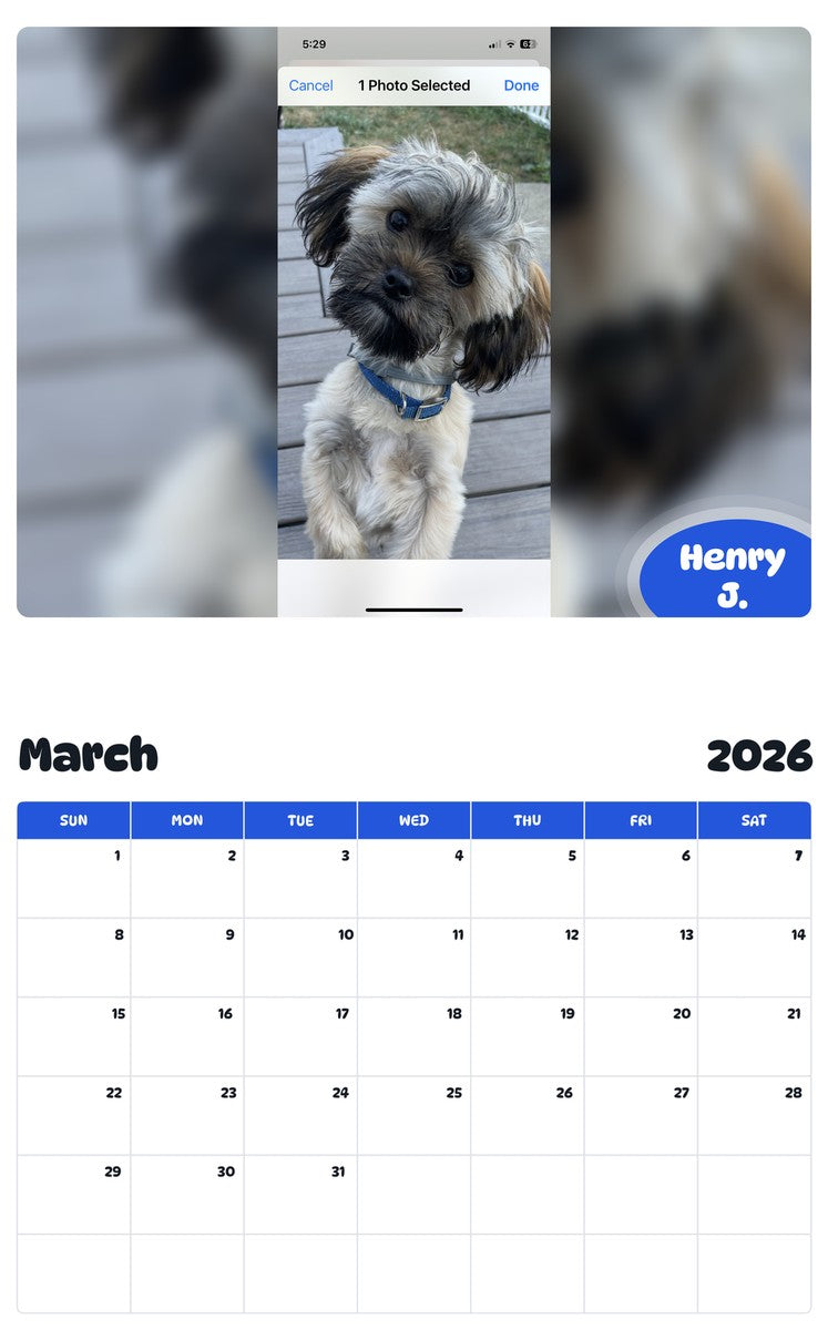 November 2025 - October 2026 Henry J. - Pawidols Pet Calendar