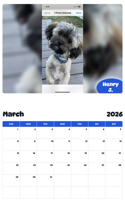 November 2025 - October 2026 Henry J. - Pawidols Pet Calendar