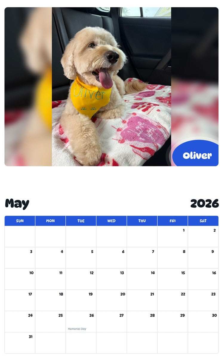 2026 - 2027 Oliver - Pawidols Pet Calendar