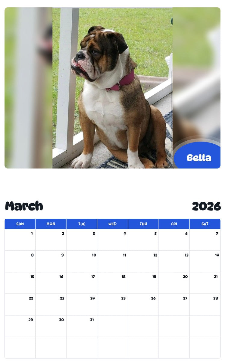 November 2025 - October 2026 Bella - Pawidols Pet Calendar