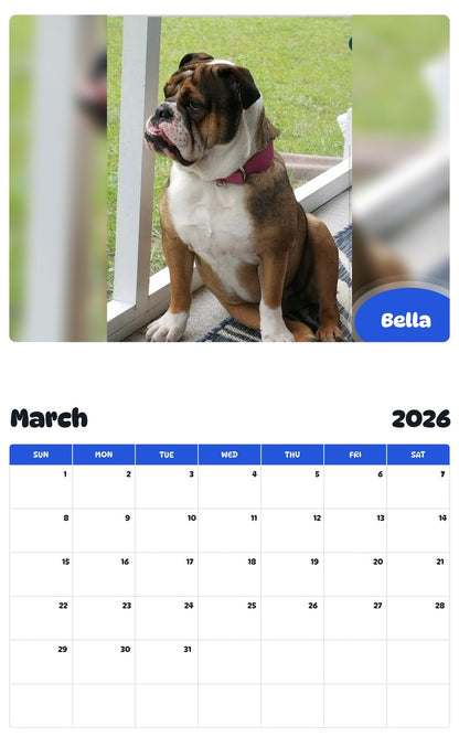 November 2025 - October 2026 Bella - Pawidols Pet Calendar