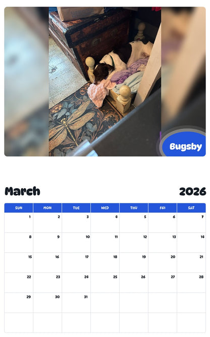 November 2025 - October 2026 Bugsby - Pawidols Pet Calendar