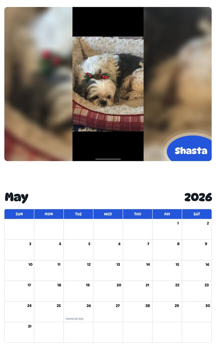 2026 - 2027 Shasta - Pawidols Pet Calendar