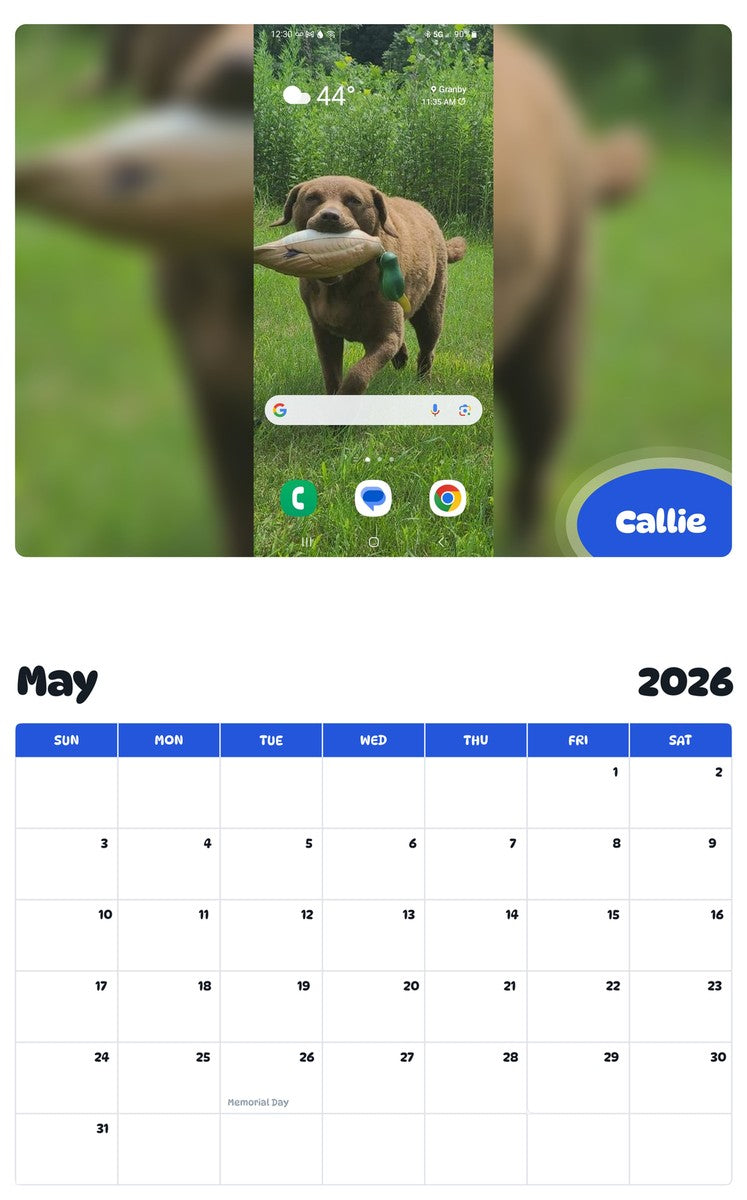 2026 - 2027 Callie - Pawidols Pet Calendar