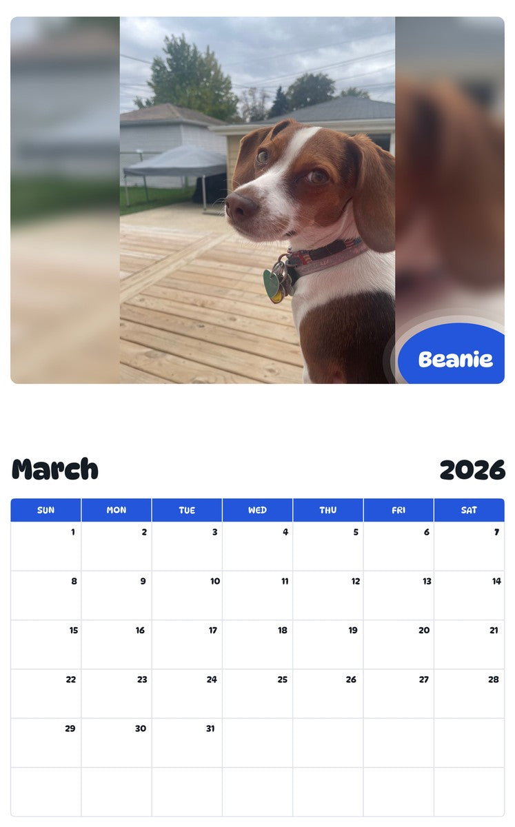 November 2025 - October 2026 Beanie - Pawidols Pet Calendar