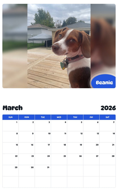 November 2025 - October 2026 Beanie - Pawidols Pet Calendar