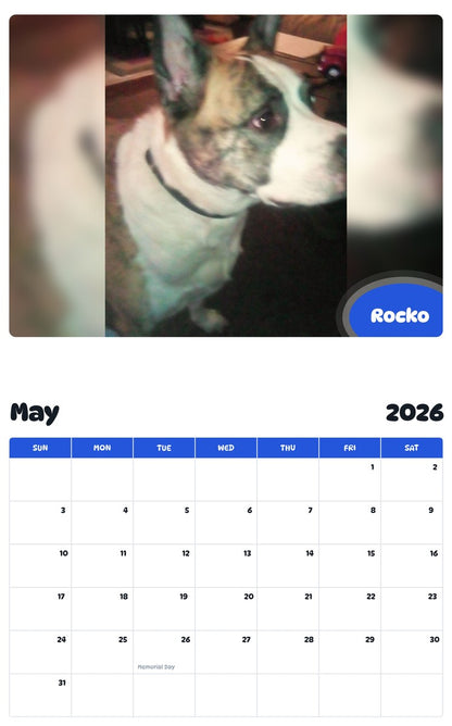 2026 - 2027 Rocko - Pawidols Pet Calendar