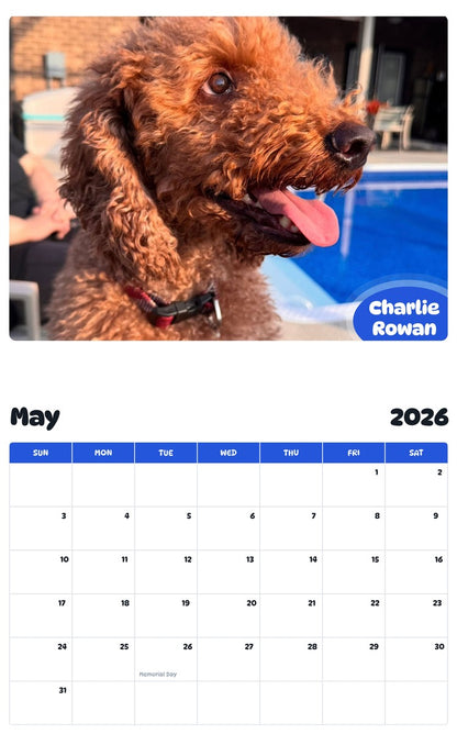2026 - 2027 Charlie Rowan - Pawidols Pet Calendar