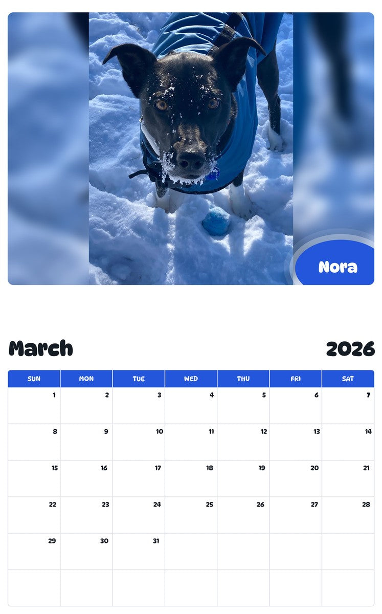 November 2025 - October 2026 Nora - Pawidols Pet Calendar