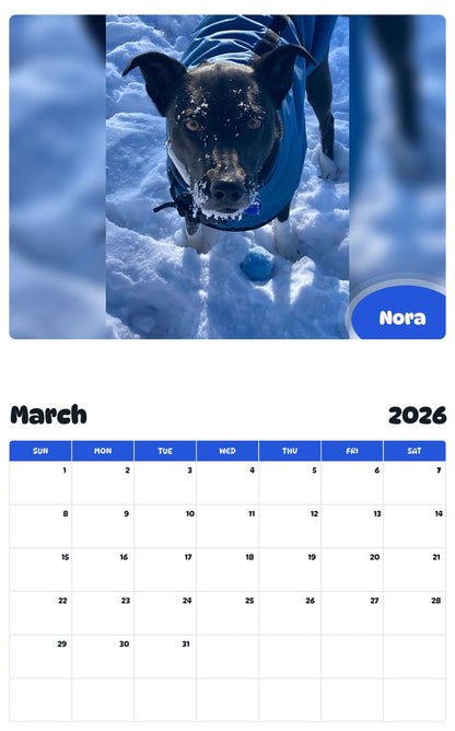 November 2025 - October 2026 Nora - Pawidols Pet Calendar
