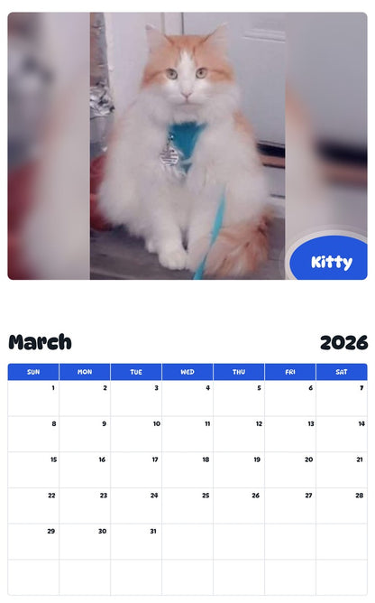 November 2025 - October 2026 Kitty - Pawidols Pet Calendar