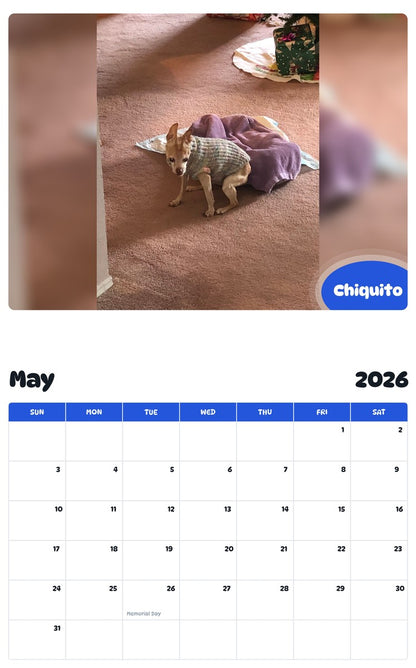 2026 - 2027 Chiquito - Pawidols Pet Calendar