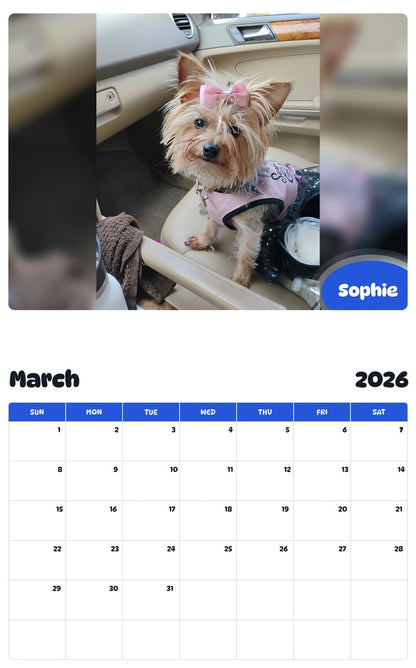 November 2025 - October 2026 Sophie - Pawidols Pet Calendar