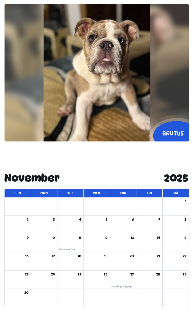 July 2025 - June 2026 Brutus - Pawidols Pet Calendar