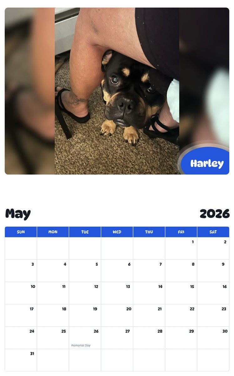 2026 - 2027 Harley - Pawidols Pet Calendar