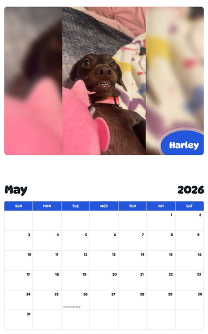 2026 - 2027 Harley - Pawidols Pet Calendar