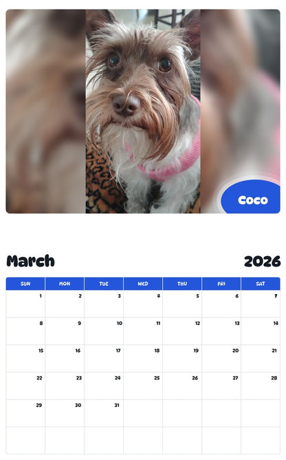 November 2025 - October 2026 Coco - Pawidols Pet Calendar
