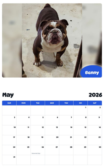 2026 - 2027 Benny - Pawidols Pet Calendar