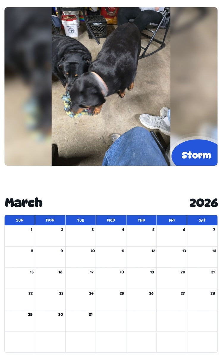 November 2025 - October 2026 Storm - Pawidols Pet Calendar