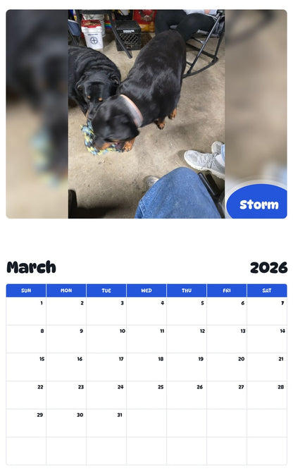 November 2025 - October 2026 Storm - Pawidols Pet Calendar