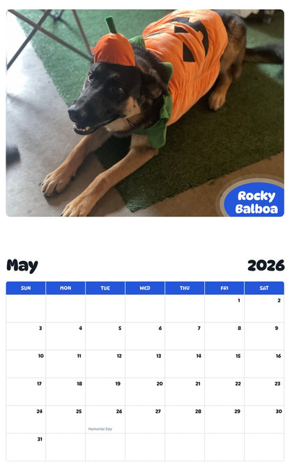 2026 - 2027 Rocky Balboa - Pawidols Pet Calendar