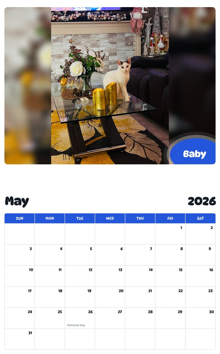 2026 - 2027 Baby - Pawidols Pet Calendar