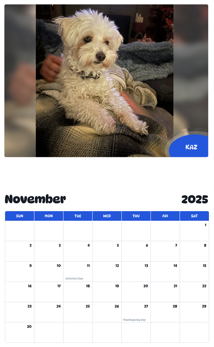 July 2025 - June 2026 Kaz - Pawidols Pet Calendar