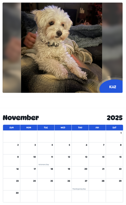 July 2025 - June 2026 Kaz - Pawidols Pet Calendar