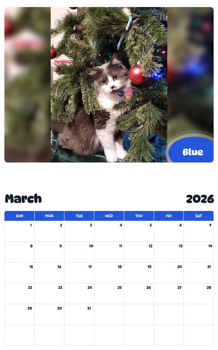 November 2025 - October 2026 Blue - Pawidols Pet Calendar
