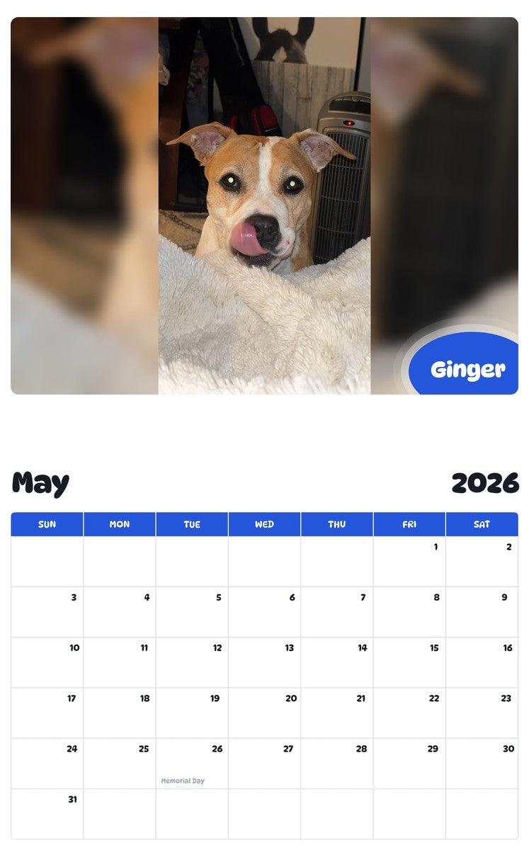 2026 - 2027 Ginger - Pawidols Pet Calendar