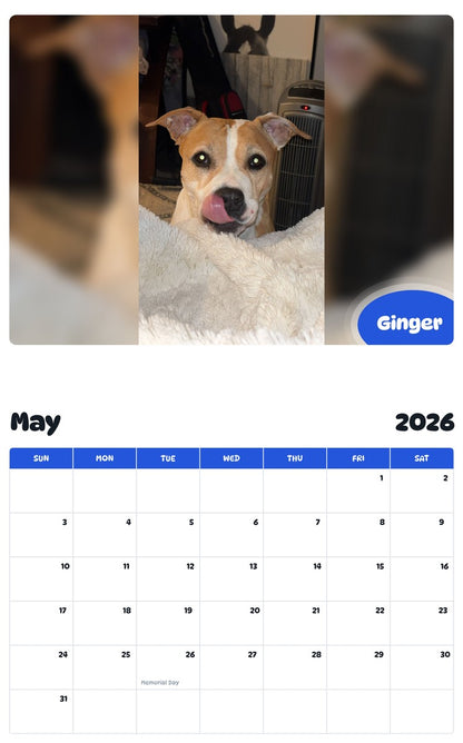 2026 - 2027 Ginger - Pawidols Pet Calendar