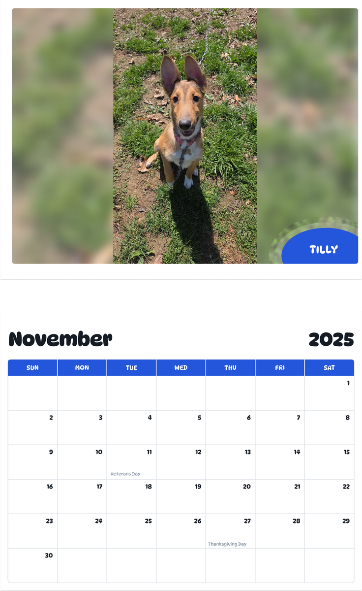 July 2025 - June 2026 Tilly - Pawidols Pet Calendar