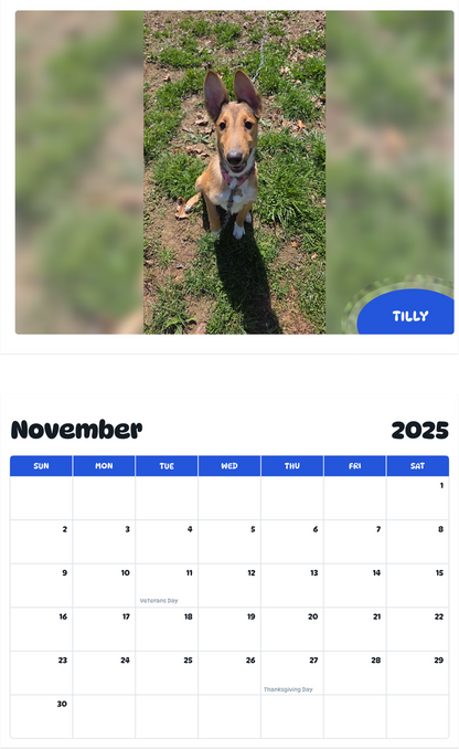 July 2025 - June 2026 Tilly - Pawidols Pet Calendar