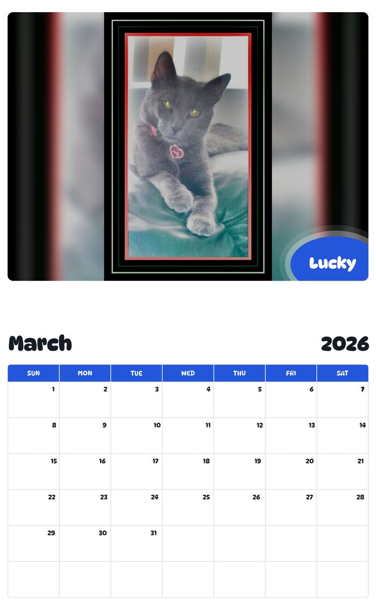 November 2025 - October 2026 Lucky - Pawidols Pet Calendar
