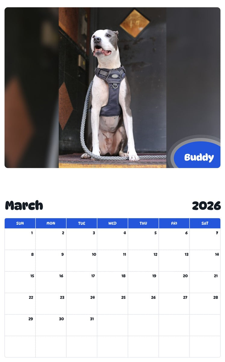 November 2025 - October 2026 Buddy - Pawidols Pet Calendar