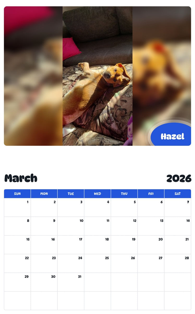 November 2025 - October 2026 Hazel - Pawidols Pet Calendar
