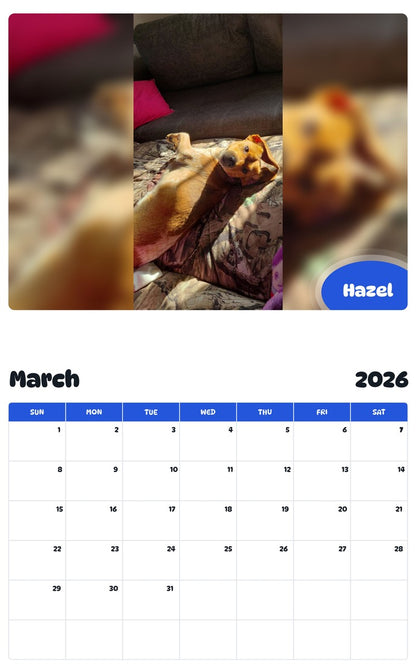 November 2025 - October 2026 Hazel - Pawidols Pet Calendar