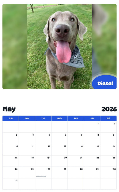 2026 - 2027 Diesel - Pawidols Pet Calendar