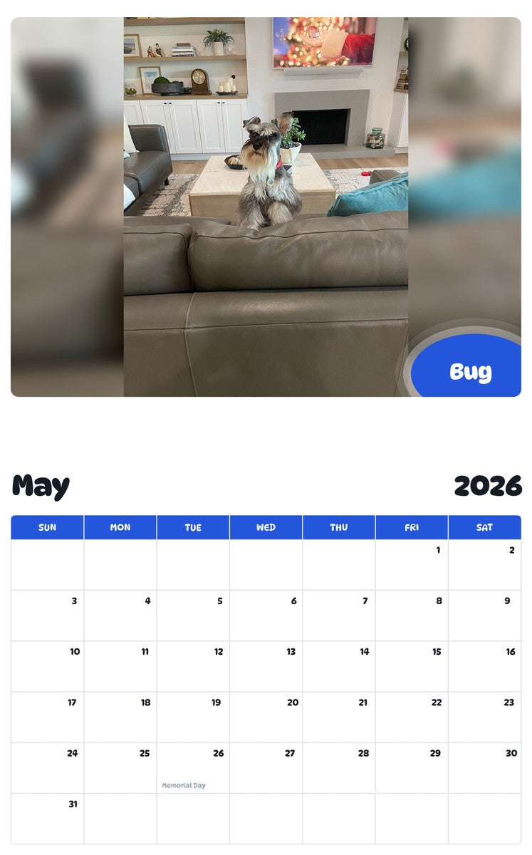 2026 - 2027 Bug - Pawidols Pet Calendar