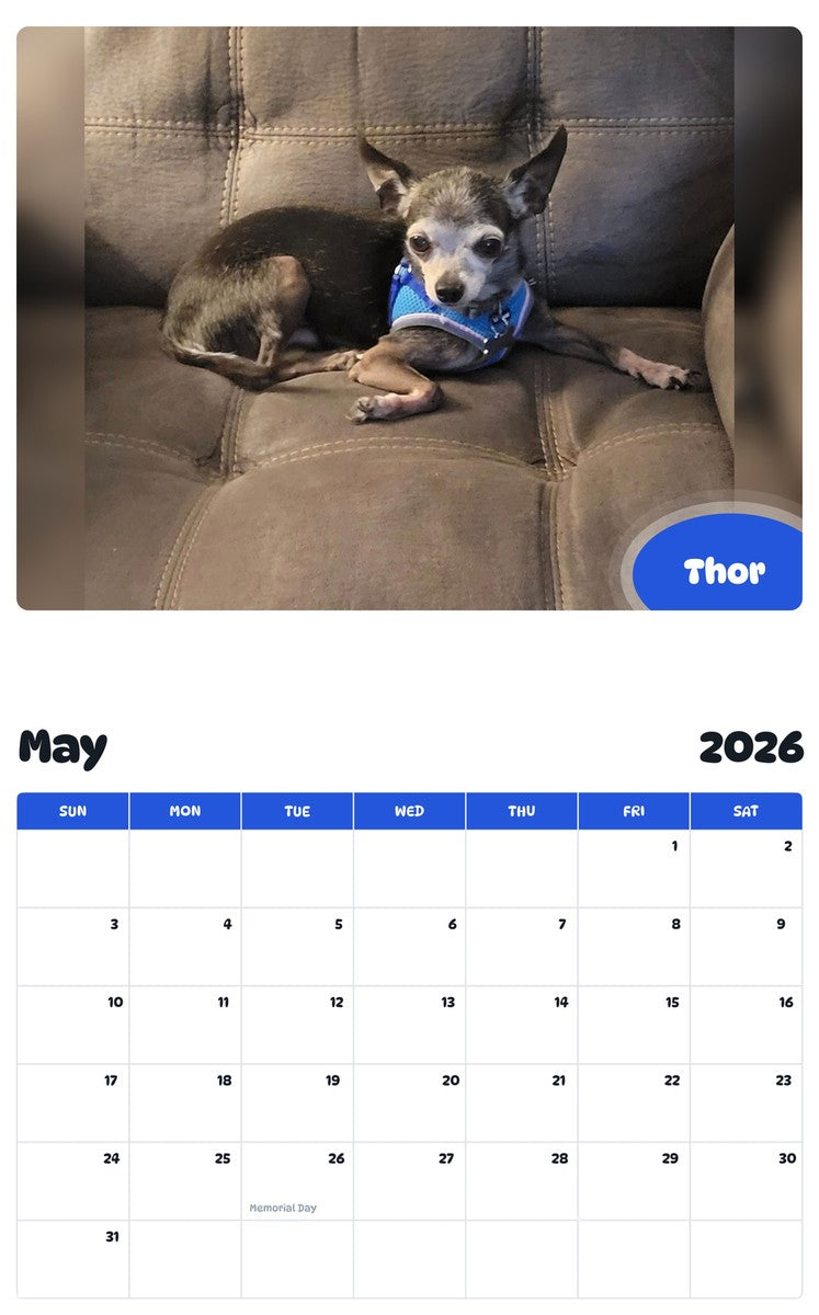 2026 - 2027 Thor - Pawidols Pet Calendar