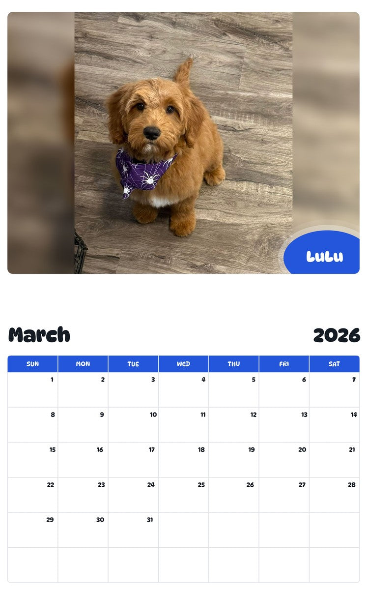 November 2025 - October 2026 LuLu - Pawidols Pet Calendar