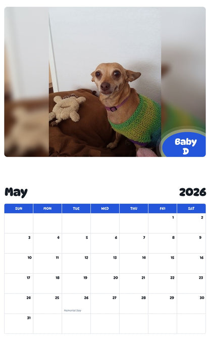 2026 - 2027 Baby D - Pawidols Pet Calendar