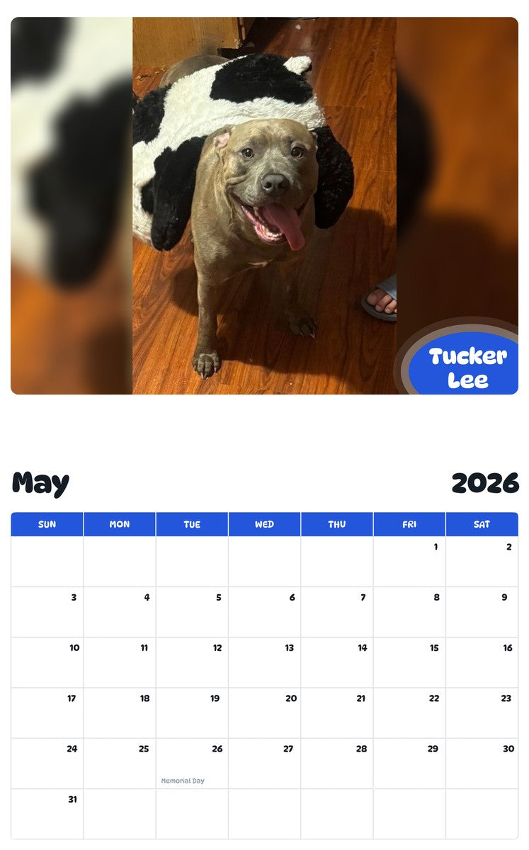 2026 - 2027 Tucker Lee - Pawidols Pet Calendar