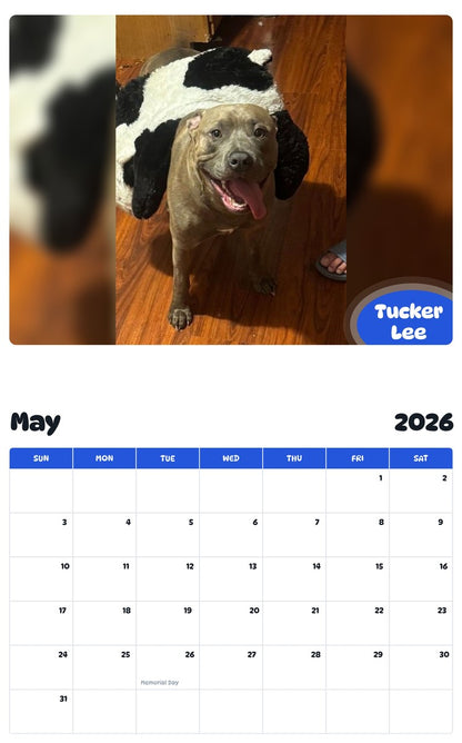 2026 - 2027 Tucker Lee - Pawidols Pet Calendar