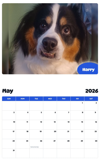 2026 - 2027 Harry - Pawidols Pet Calendar