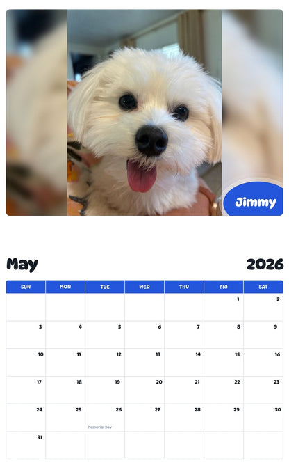 2026 - 2027 Jimmy - Pawidols Pet Calendar